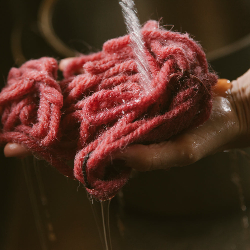 Taller de tinción con Rubia Tinctorum