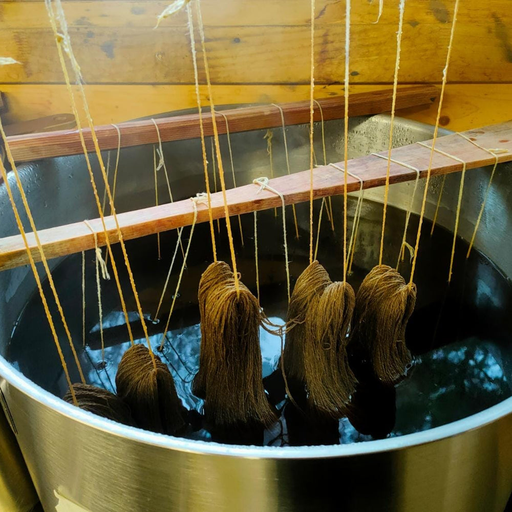 Taller "Experimenta con los tintes naturales", Sábado 25 de Marzo