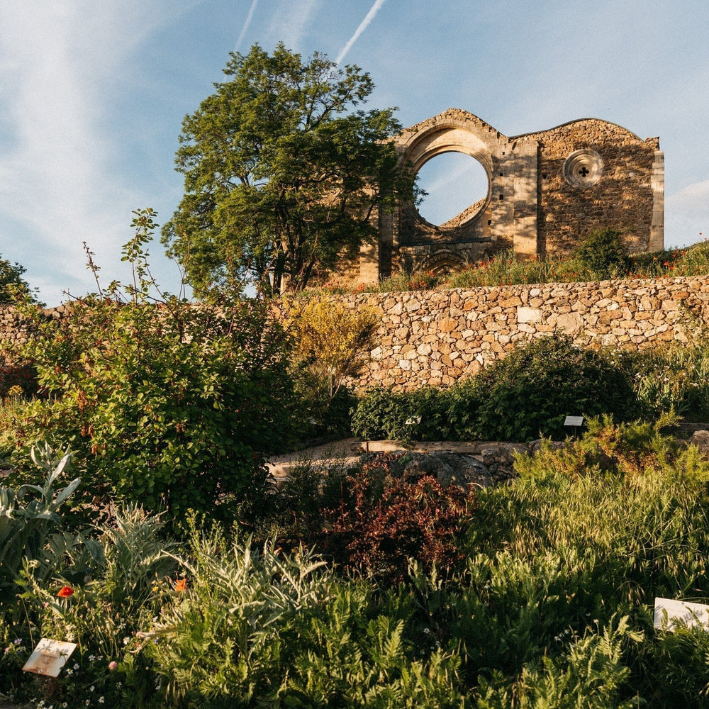 ÁBBATTE un jardín tintóreo Beruete