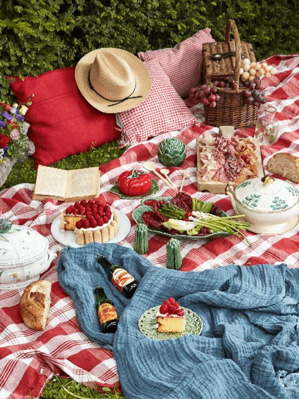 Vámonos de picnic!!