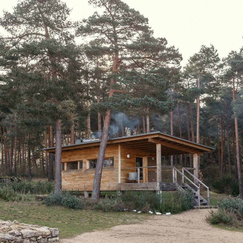 Taller "Experimenta con los tintes naturales", 25 de Marzo